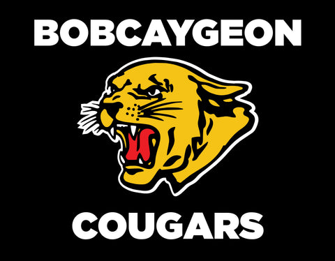 Bobcaygeon Cougars Baseball