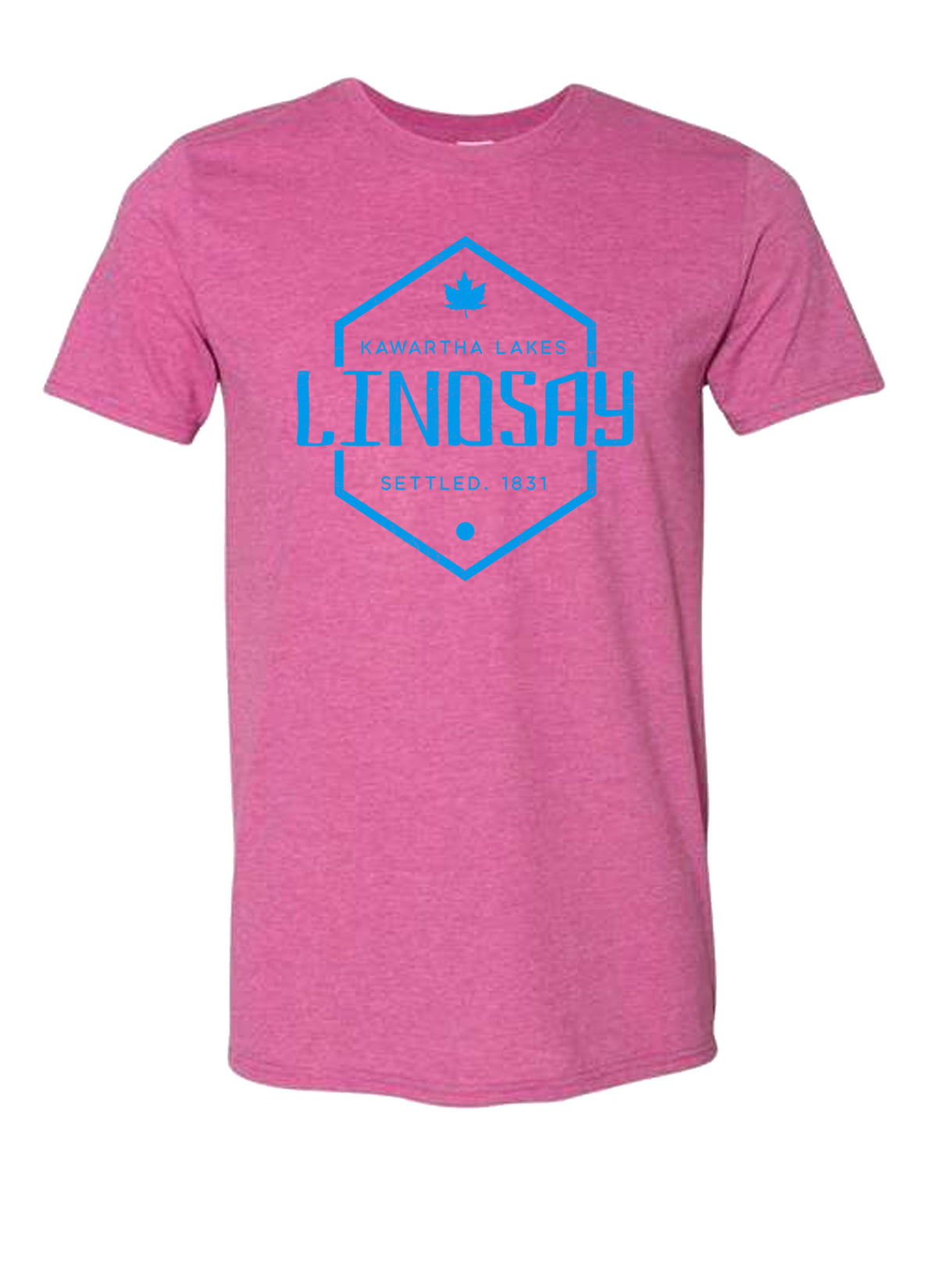 *NEW* Lindsay Settled 1831 Vintage Tee