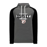 Oakwood Osprey Baseball Performance Hoodie